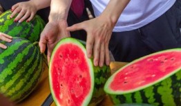 今日吃瓜 正能量,传递正能量，共筑美好社会