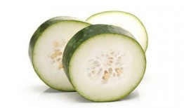 今日吃瓜 正能量,传递正能量，共筑美好社会