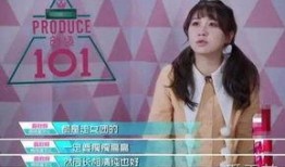 明星黑料进入口 独家爆料是什么意思,独家爆料，明星黑料背后的真相