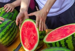 吃瓜长清大学体育生