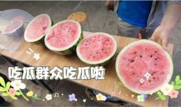 今日吃瓜每日必吃,每日必吃，揭秘娱乐圈新鲜事